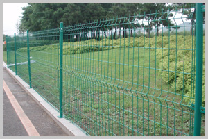 Wire Mesh Fence