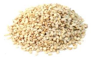 White sesame seeds, Packaging Size : 1kg