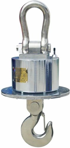 Wireless Crane Scales