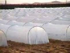 Non Woven Crop Protection Cover
