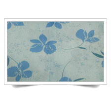 Printed Spunbond Non Woven Fabric