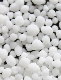 Calcium Ammonium Nitrate
