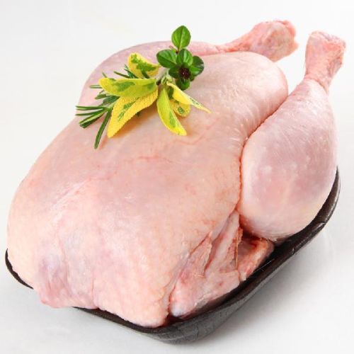 Frozen Whole Chicken, Certification : IEC