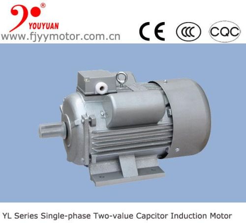 Yl Series Single-phase Induction Rotisserie Motor