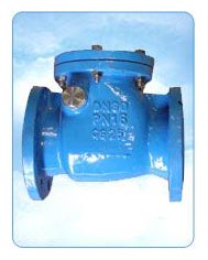Iron Swing Check Valve