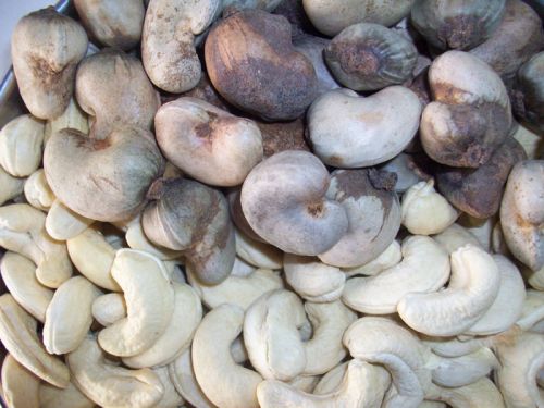 Cashew nuts, Color : White