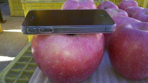 Fresh apples 100-113-125-150-198, Packaging Type : Red