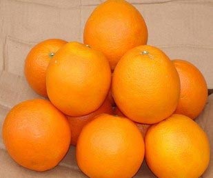 Fresh orange, Packaging Type : Carton