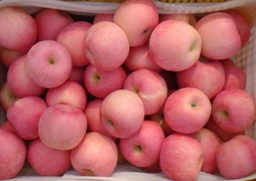 Fruit Apple 70mm-85mm, Grade : AAA, AA, Packaging Type : Red