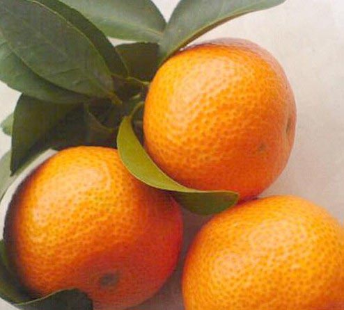 Mandarin Orange
