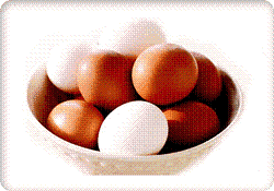 Chicken Egg