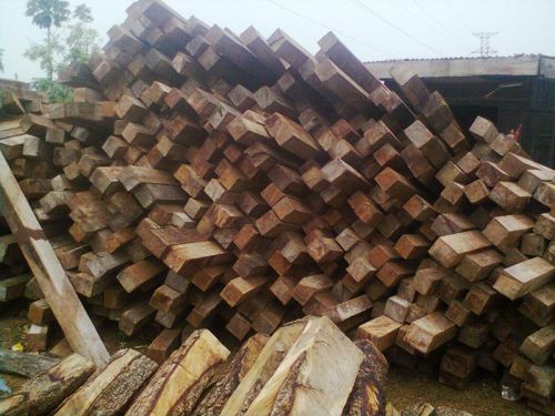 APA Hardwood