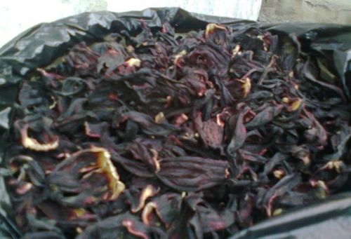 Dried hibiscus flower