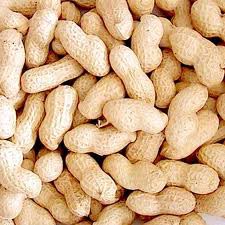 Natural Shelled Peanuts, For Making Flour, Making Oil, Making Snacks, Feature : Good For Health, Longer Shelf Life