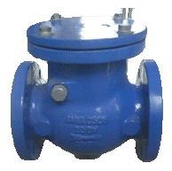 Swing Check Valve