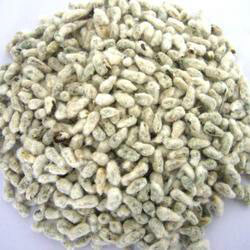 Cotton seeds Form : Seeds
