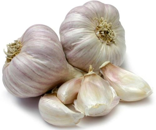 Garlic, Quality Available : A Grade