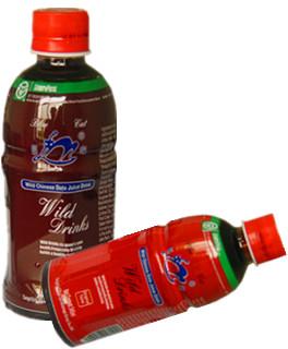 Fruit Juice - (wild Healthy)