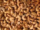 Cashew nut