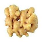 Ginger, Shelf Life :1-2 Weeks