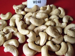Cashew Nut Kernels