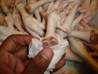 Chicken Feet, Packaging Type : Plastic Bags, Vacuum Pack