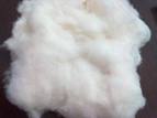 Cotton Waste, Yarn Scrap, Wool Scrap, Fiber Scrap