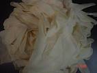 Latex Gloves Scrap, Latex Materials Scrap