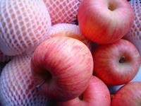 Apples, Certification : SGS