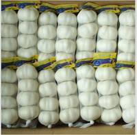 Fresh garlic, Number Of Flower : Vegetable