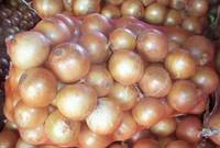 Fresh onions, Certification : SGS