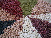 Kidney beans, Color : Red, Brown