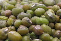Mung Beans, Cultivation Type : Organic