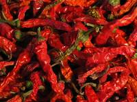 Dried Chili Pepper, Certification : SGS