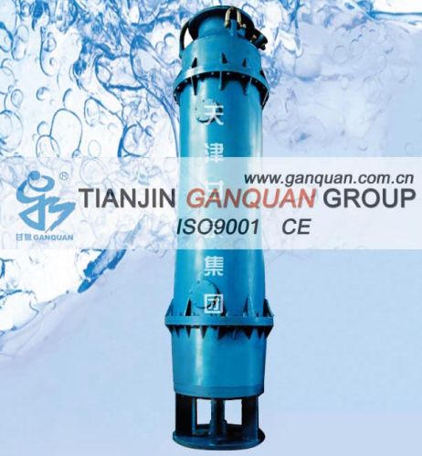 Self Priming Water Pump - Qjx