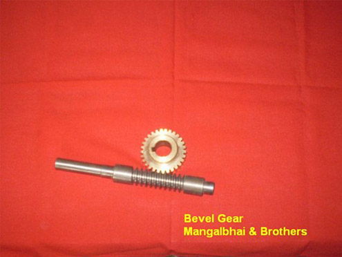 Bevel Gear