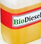 Biodiesel