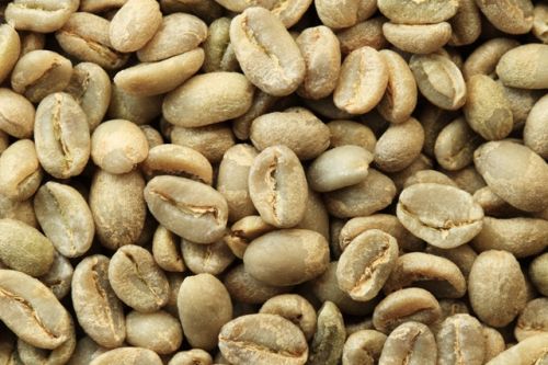 Green Robusta Coffee Bean