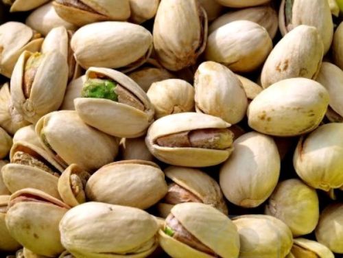 Pistachio nuts