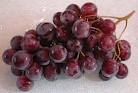 Common Grapes, Packaging Type : green, Certification : SGS