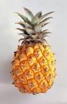 Fresh pineapple, Packaging Type : yellow, Certification : SGS