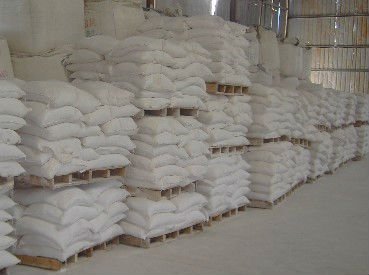 Captain Calcium Hydroxide