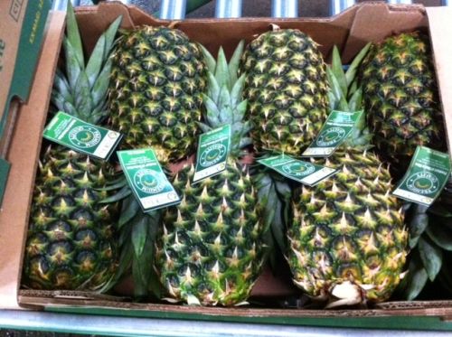Fresh pineapple, Type : Fruit