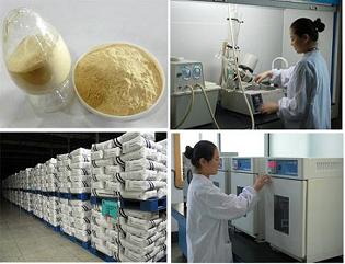China Vital Wheat Gluten, Brand Name : Qingdao JDT