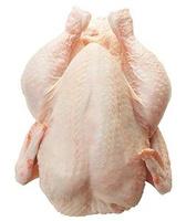 Frozen chicken, Boneless : No smell