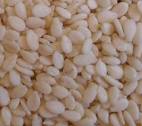 Cotton Seed,Jatropha Seed,Sesame Seeds