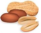 Peanut Meal, Peanut Oil, Peanut Shell, Peanut Seed