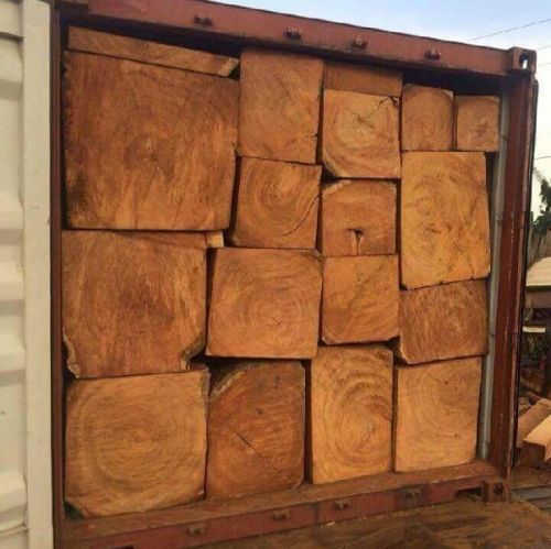 Pterocarpus Erinaceus Poir Wood