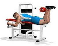 Leg Curl Machine