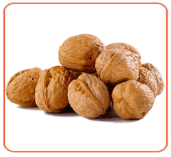 Altaj Walnuts